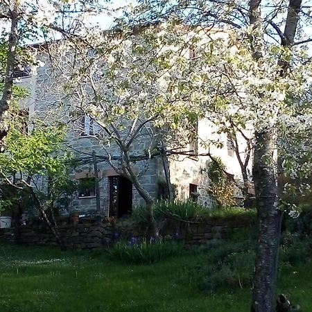 La Fonte B&B Pietralunga (Umbria) Exterior foto