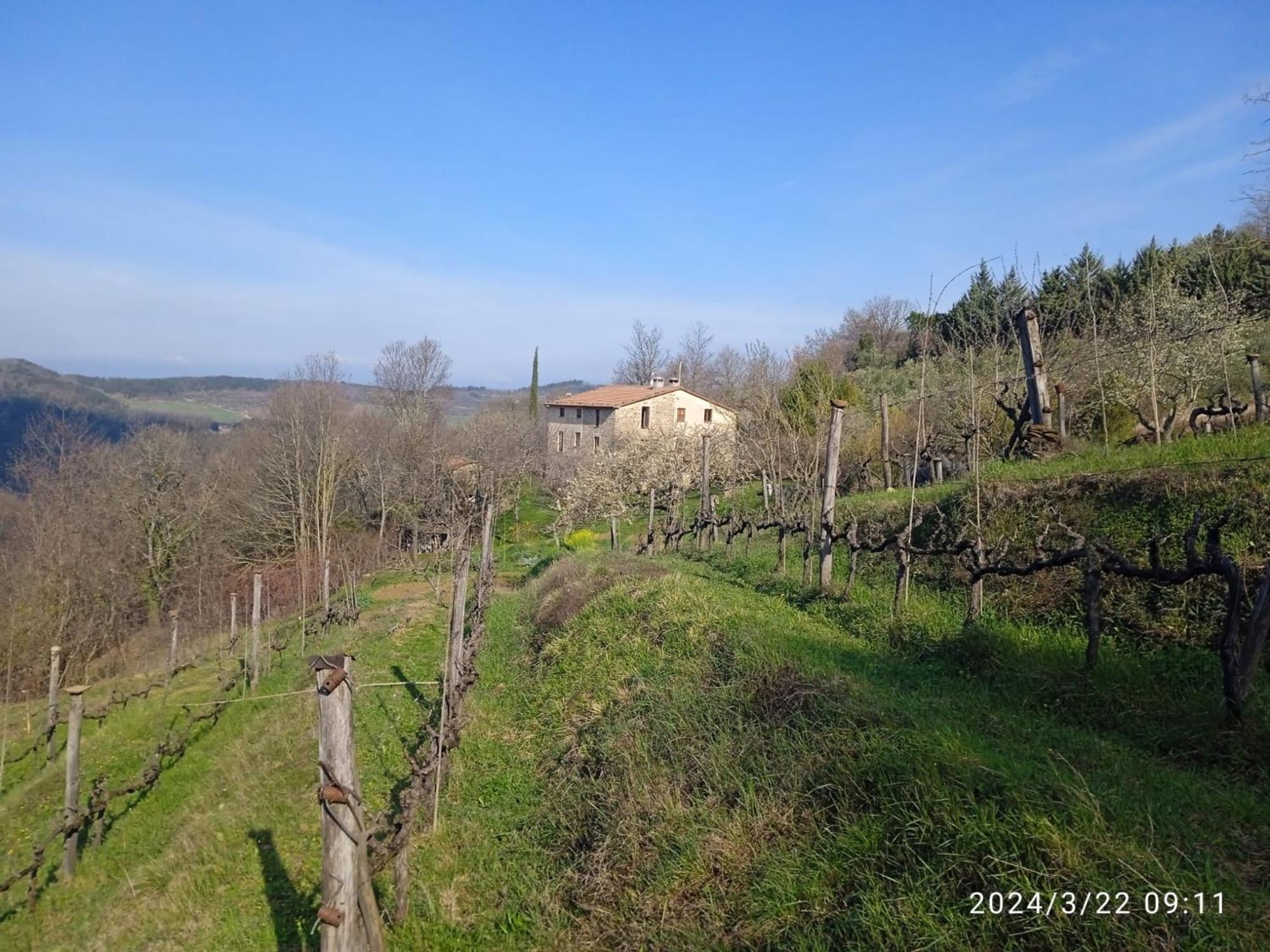 La Fonte B&B Pietralunga (Umbria) Exterior foto
