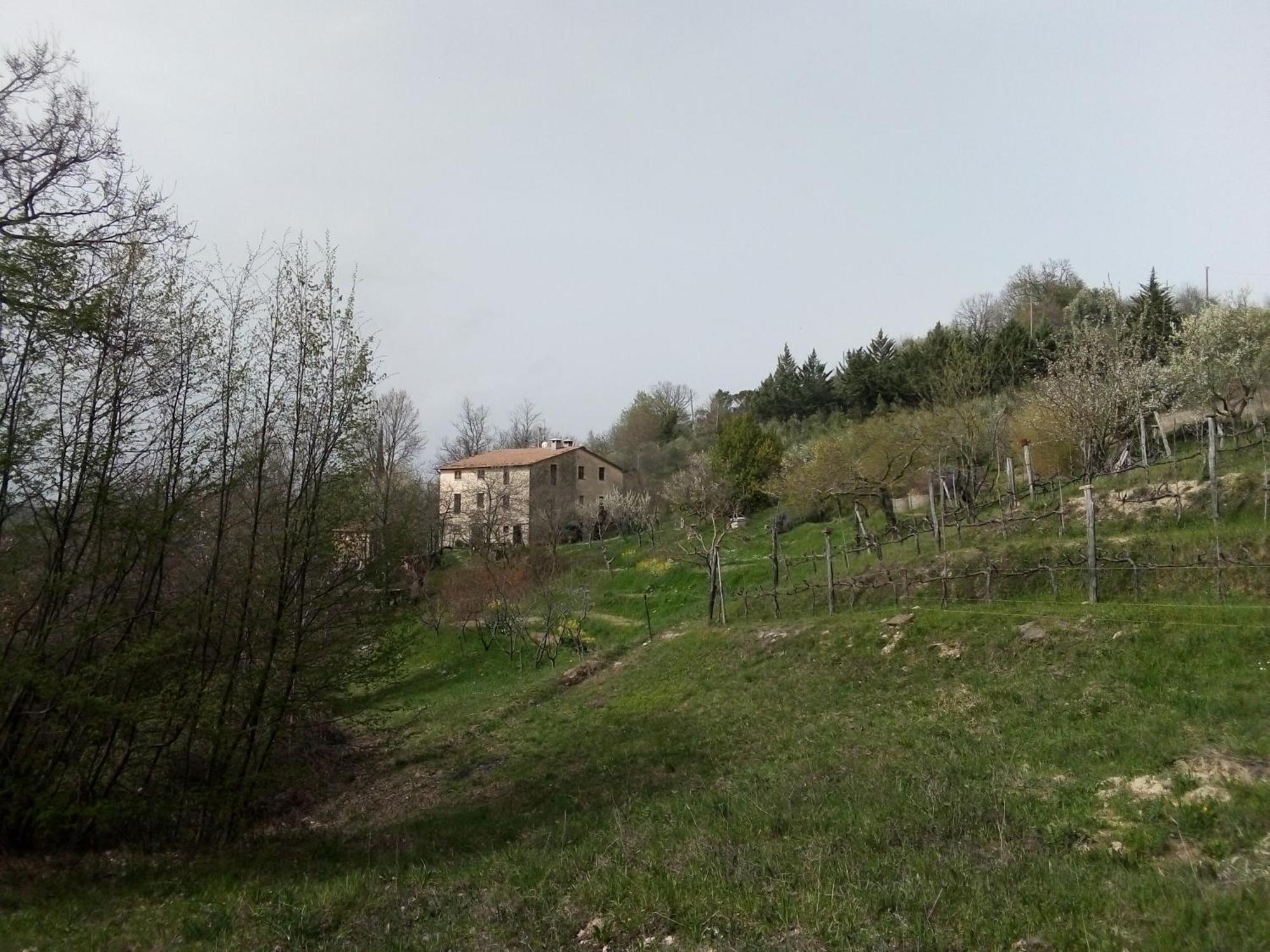 La Fonte B&B Pietralunga (Umbria) Exterior foto