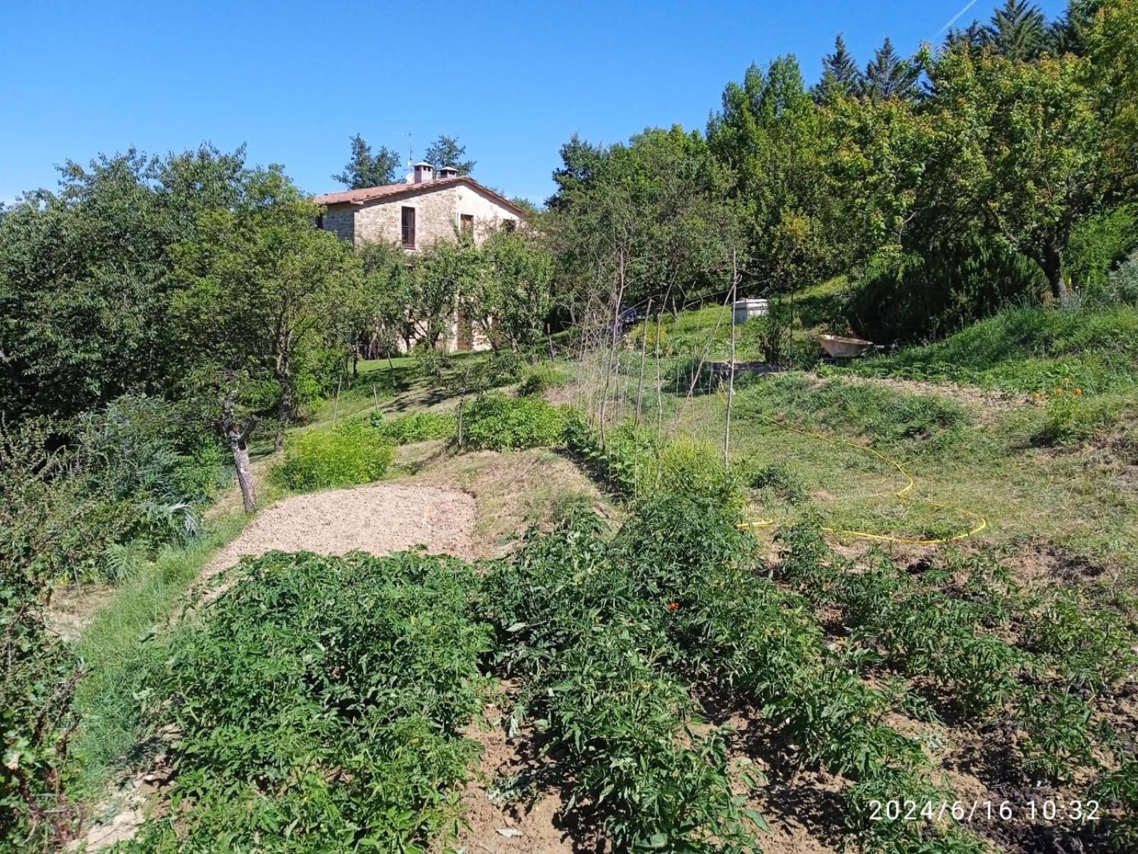 La Fonte B&B Pietralunga (Umbria) Exterior foto