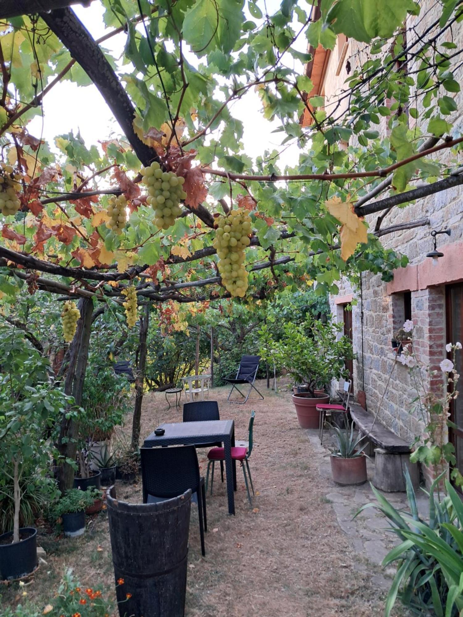 La Fonte B&B Pietralunga (Umbria) Exterior foto