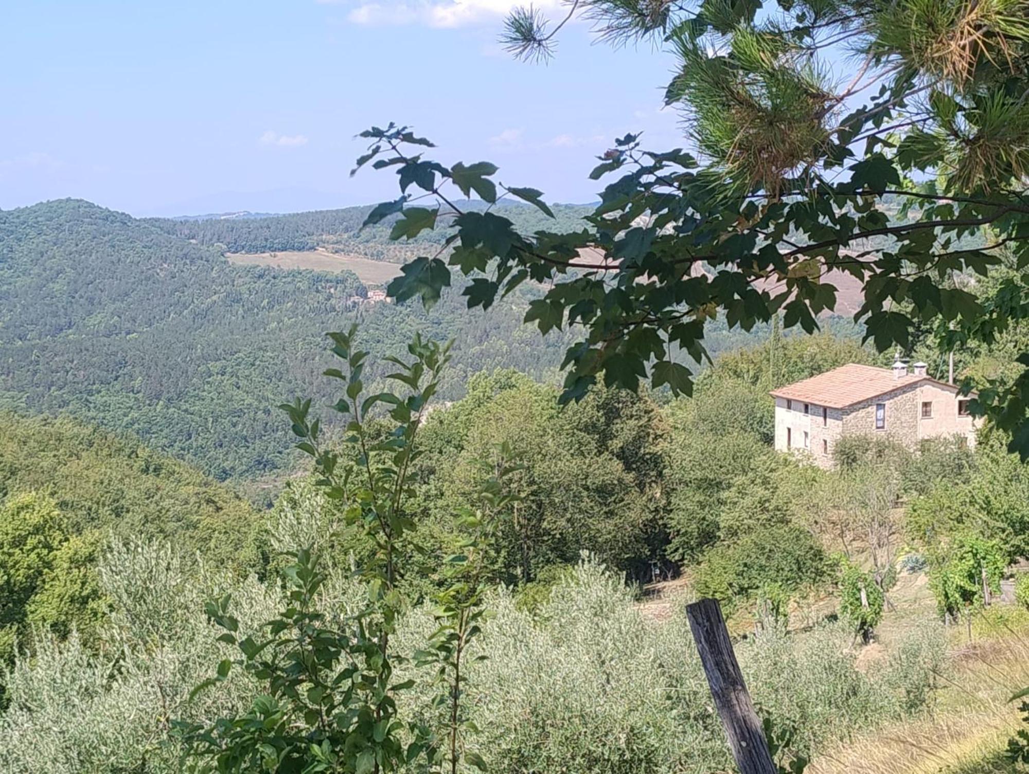La Fonte B&B Pietralunga (Umbria) Exterior foto
