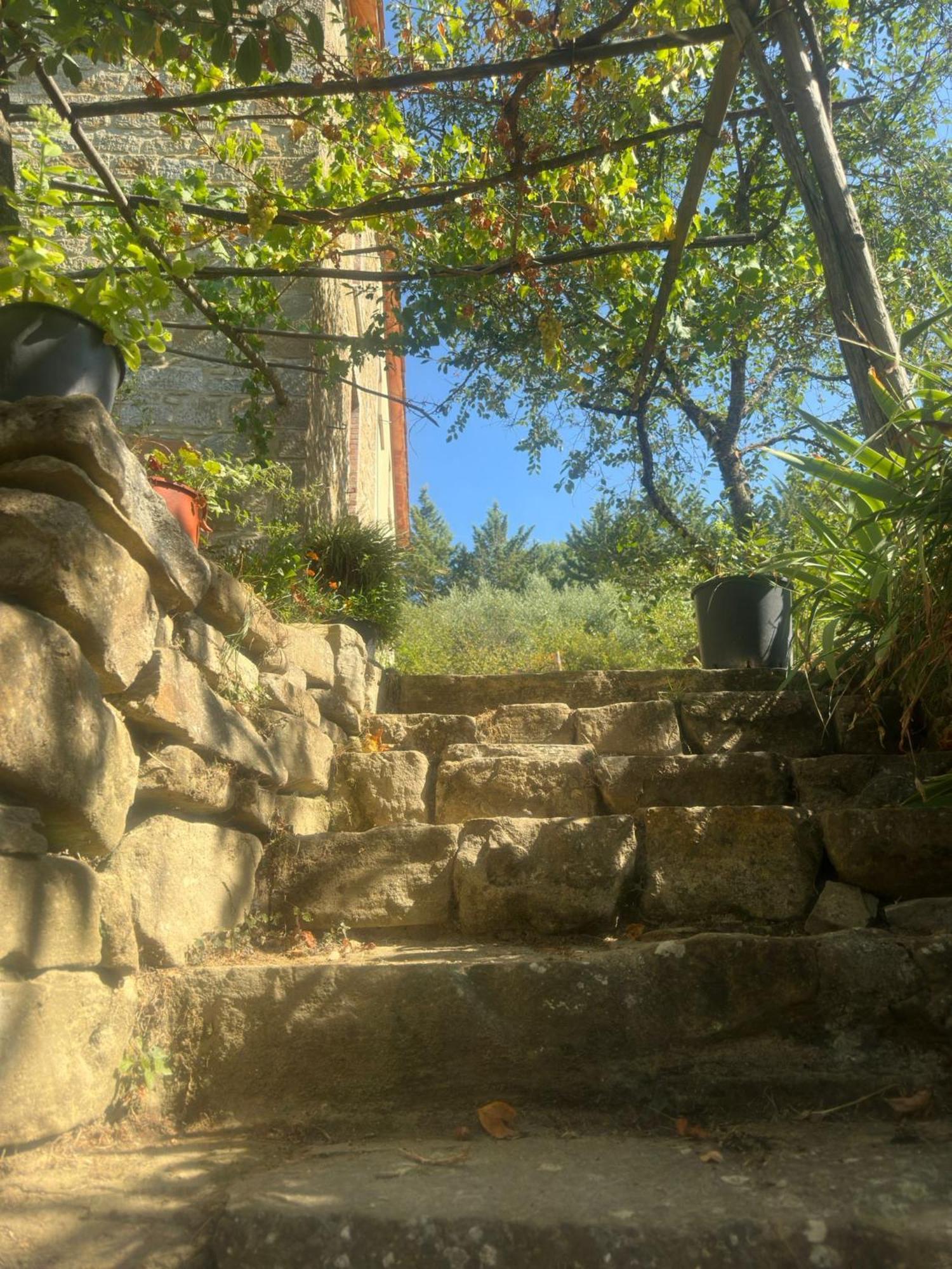 La Fonte B&B Pietralunga (Umbria) Exterior foto