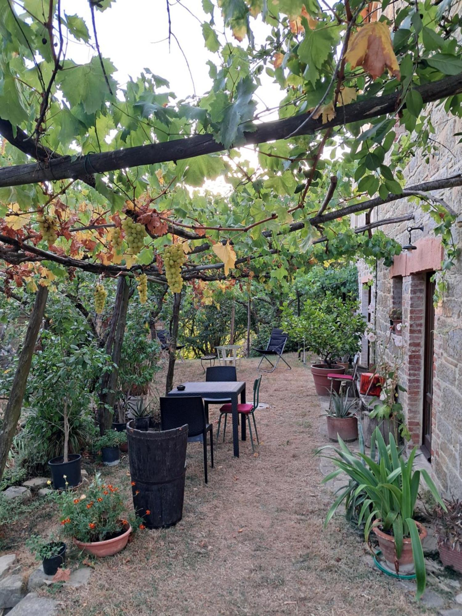 La Fonte B&B Pietralunga (Umbria) Exterior foto